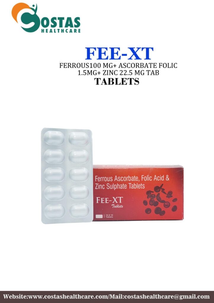 FEE-XT
